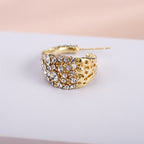 Modern INS style women’s earrings close-up view
